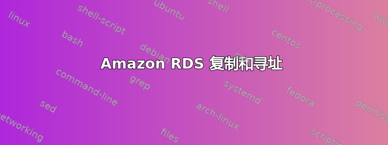 Amazon RDS 复制和寻址