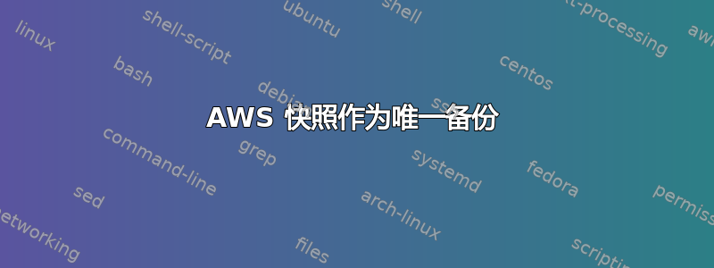 AWS 快照作为唯一备份