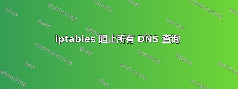 iptables 阻止所有 DNS 查询