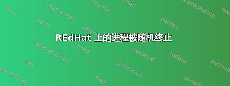 REdHat 上的进程被随机终止