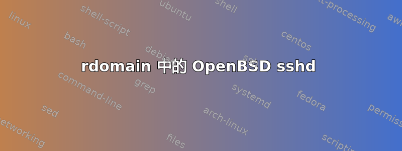 rdomain 中的 OpenBSD sshd