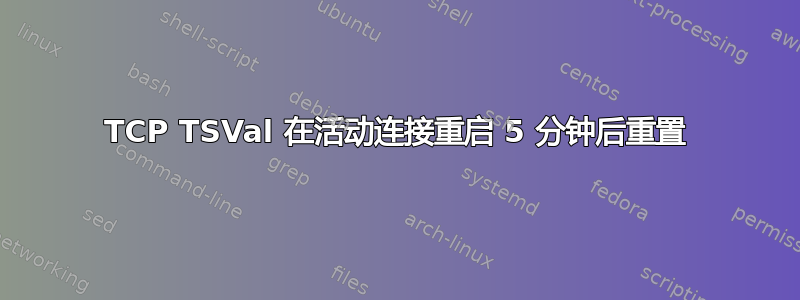 TCP TSVal 在活动连接重启 5 分钟后重置