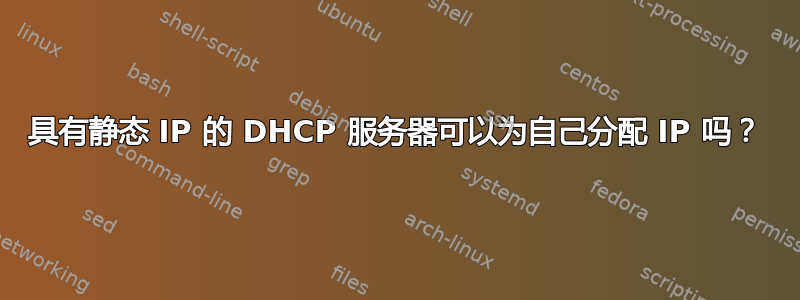 具有静态 IP 的 DHCP 服务器可以为自己分配 IP 吗？