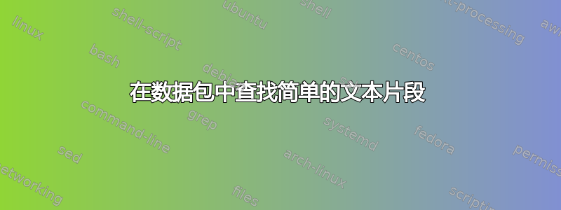 在数据包中查找简单的文本片段