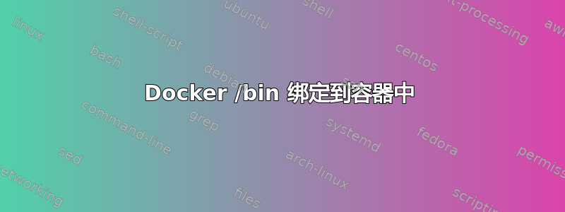 Docker /bin 绑定到容器中