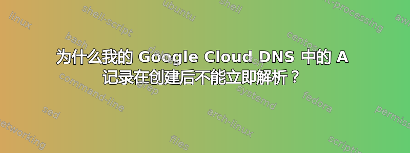 为什么我的 Google Cloud DNS 中的 A 记录在创建后不能立即解析？