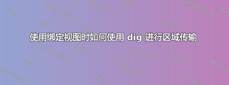 使用绑定视图时如何使用 dig 进行区域传输