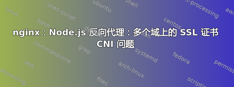 nginx：Node.js 反向代理：多个域上的 SSL 证书 CNI 问题