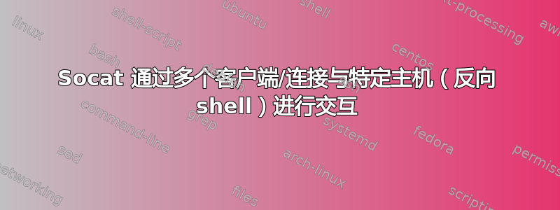 Socat 通过多个客户端/连接与特定主机（反向 shell）进行交互