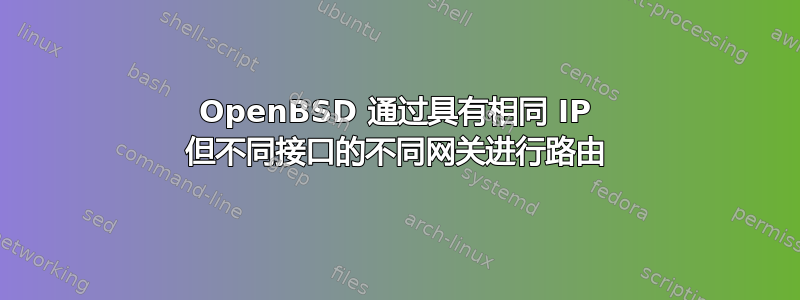 OpenBSD 通过具有相同 IP 但不同接口的不同网关进行路由