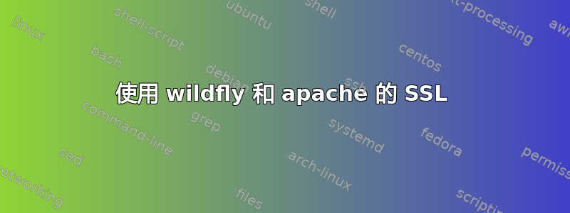 使用 wildfly 和 apache 的 SSL