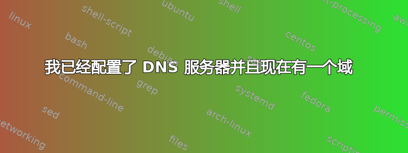 我已经配置了 DNS 服务器并且现在有一个域 