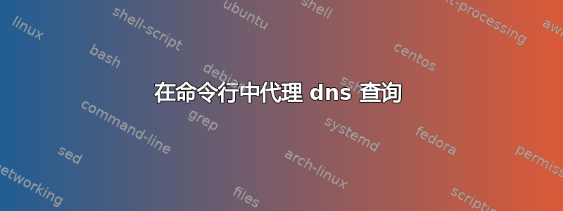 在命令行中代理 dns 查询