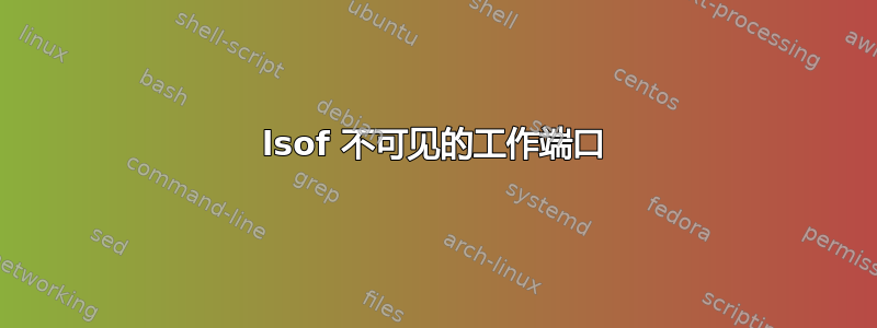 lsof 不可见的工作端口