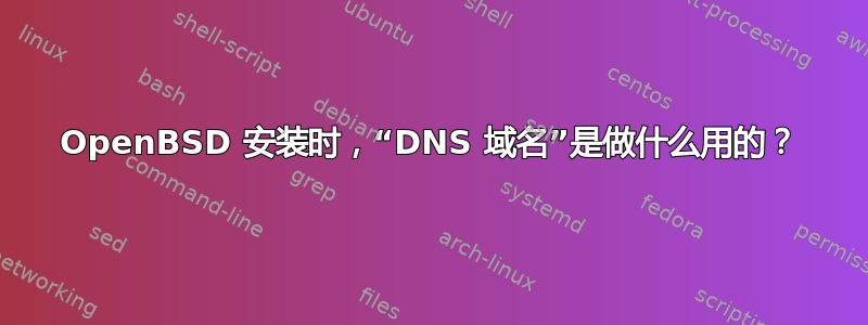 OpenBSD 安装时，“DNS 域名”是做什么用的？