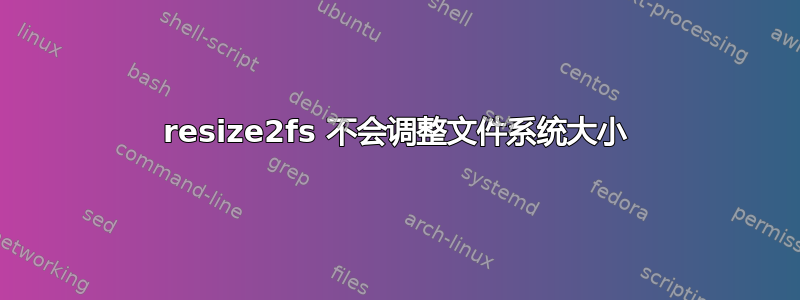 resize2fs 不会调整文件系统大小