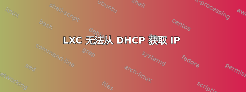 LXC 无法从 DHCP 获取 IP