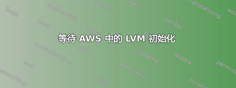 等待 AWS 中的 LVM 初始化