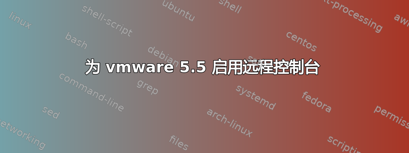 为 vmware 5.5 启用远程控制台