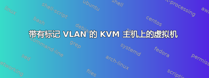 带有标记 VLAN 的 KVM 主机上的虚拟机