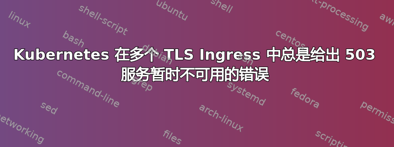 Kubernetes 在多个 TLS Ingress 中总是给出 503 服务暂时不可用的错误