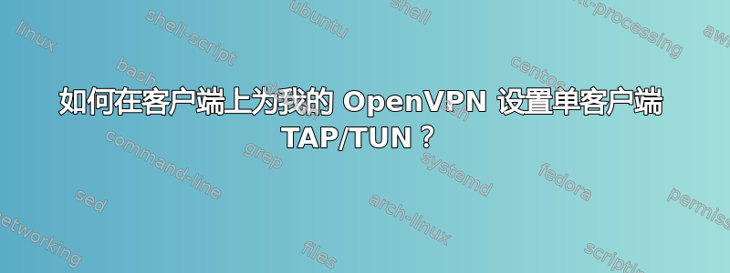 如何在客户端上为我的 OpenVPN 设置单客户端 TAP/TUN？