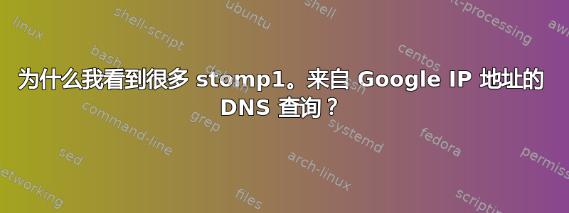 为什么我看到很多 stomp1。来自 Google IP 地址的 DNS 查询？