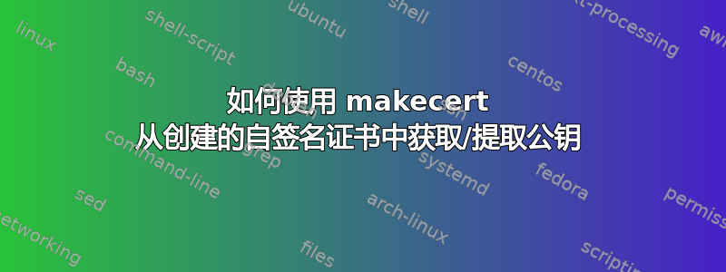 如何使用 makecert 从创建的自签名证书中获取/提取公钥