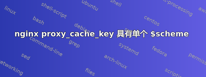 nginx proxy_cache_key 具有单个 $scheme