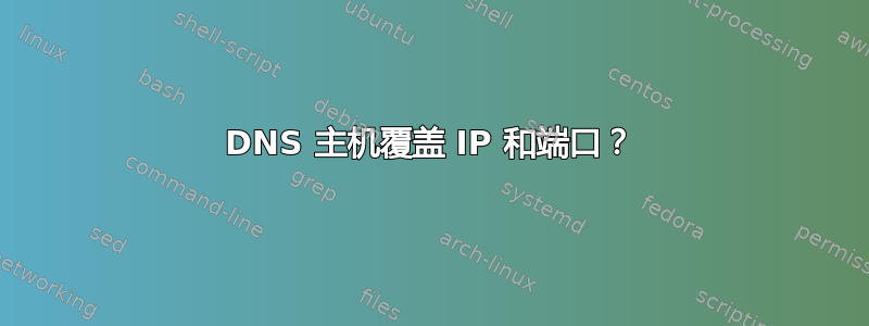 DNS 主机覆盖 IP 和端口？