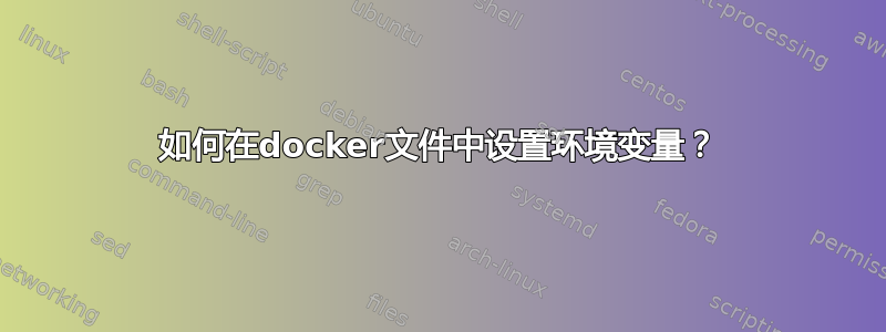 如何在docker文件中设置环境变量？