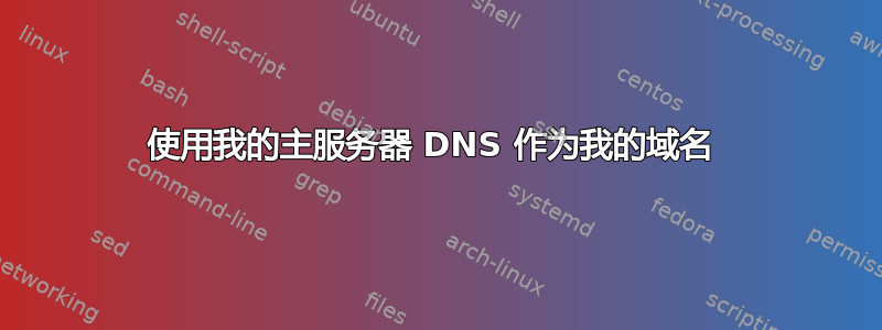 使用我的主服务器 DNS 作为我的域名 