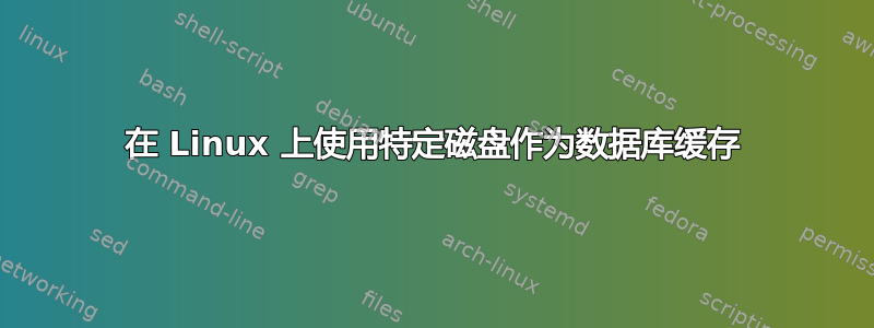 在 Linux 上使用特定磁盘作为数据库缓存