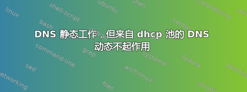 DNS 静态工作，但来自 dhcp 池的 DNS 动态不起作用