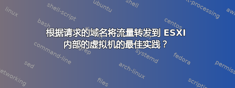 根据请求的域名将流量转发到 ESXI 内部的虚拟机的最佳实践？