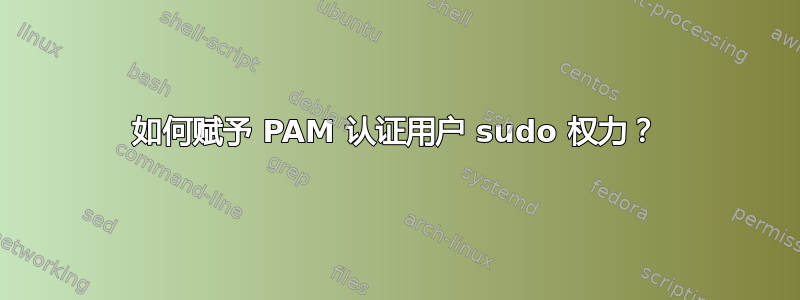 如何赋予 PAM 认证用户 sudo 权力？