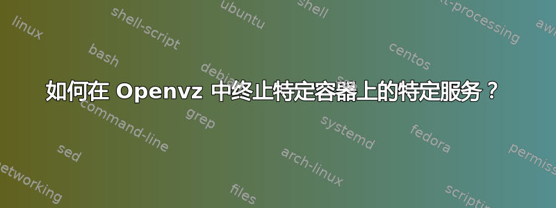 如何在 Openvz 中终止特定容器上的特定服务？