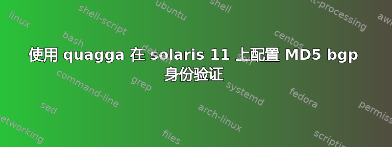 使用 quagga 在 solaris 11 上配置 MD5 bgp 身份验证