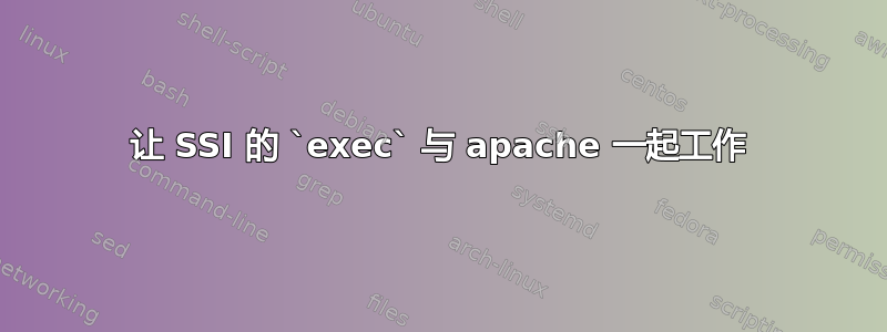 让 SSI 的 `exec` 与 apache 一起工作