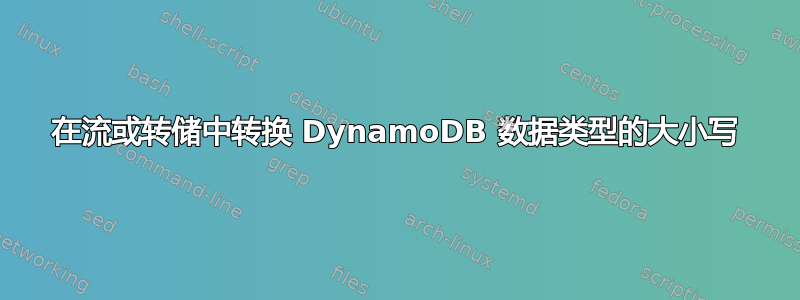 在流或转储中转换 DynamoDB 数据类型的大小写