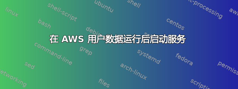 在 AWS 用户数据运行后启动服务