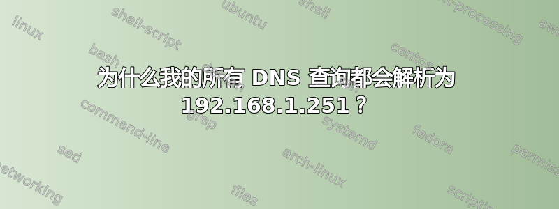 为什么我的所有 DNS 查询都会解析为 192.168.1.251？