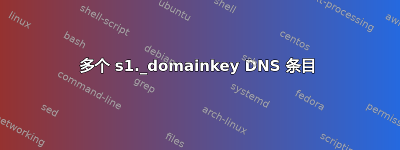 多个 s1._domainkey DNS 条目