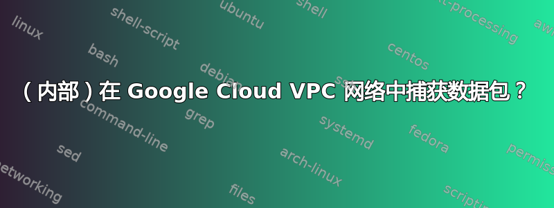 （内部）在 Google Cloud VPC 网络中捕获数据包？