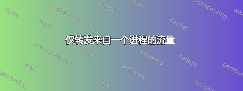 仅转发来自一个进程的流量