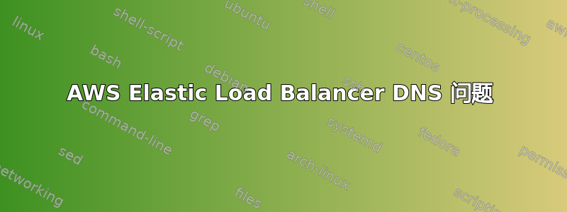 AWS Elastic Load Balancer DNS 问题