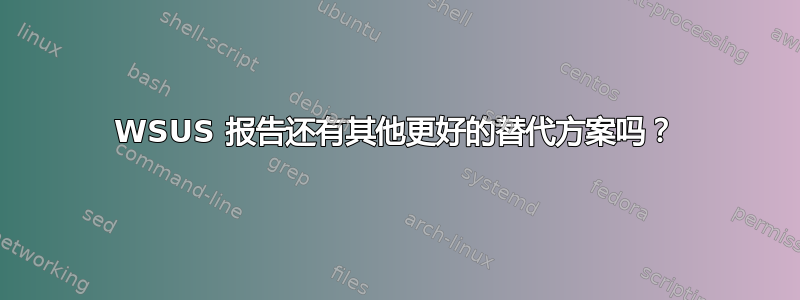 WSUS 报告还有其他更好的替代方案吗？