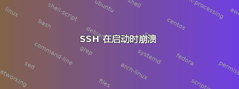 SSH 在启动时崩溃