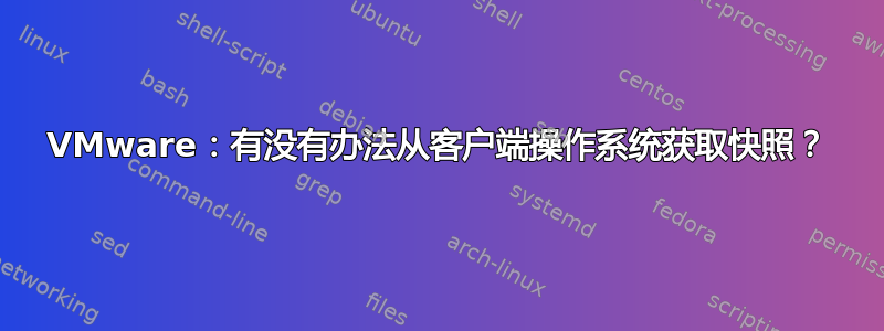 VMware：有没有办法从客户端操作系统获取快照？