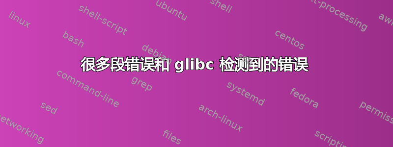 很多段错误和 glibc 检测到的错误